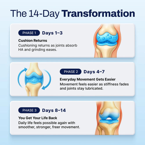 Biovera Hyaluronic Acid